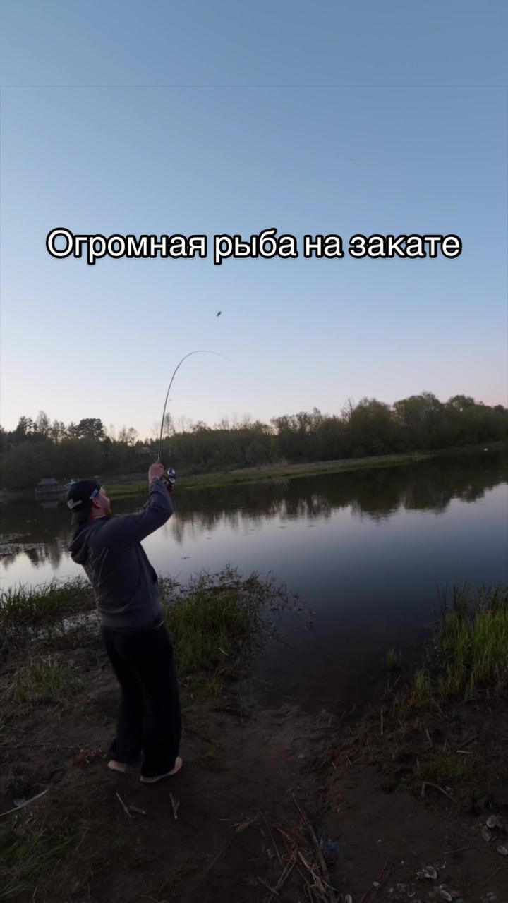 @Ace.fishing
