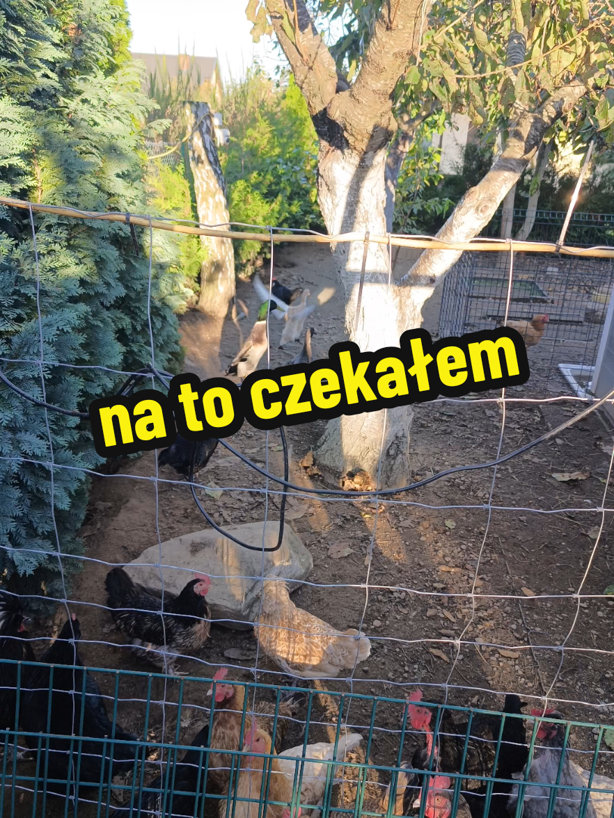 @Marcin ogrodnik