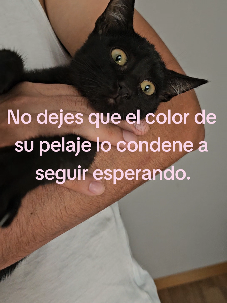 @garritasespaciales