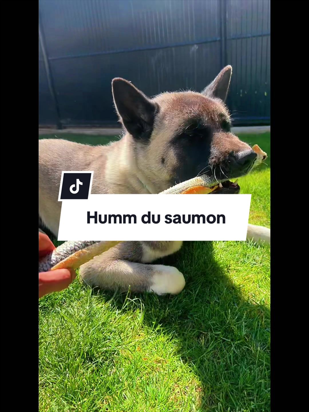 @Roman