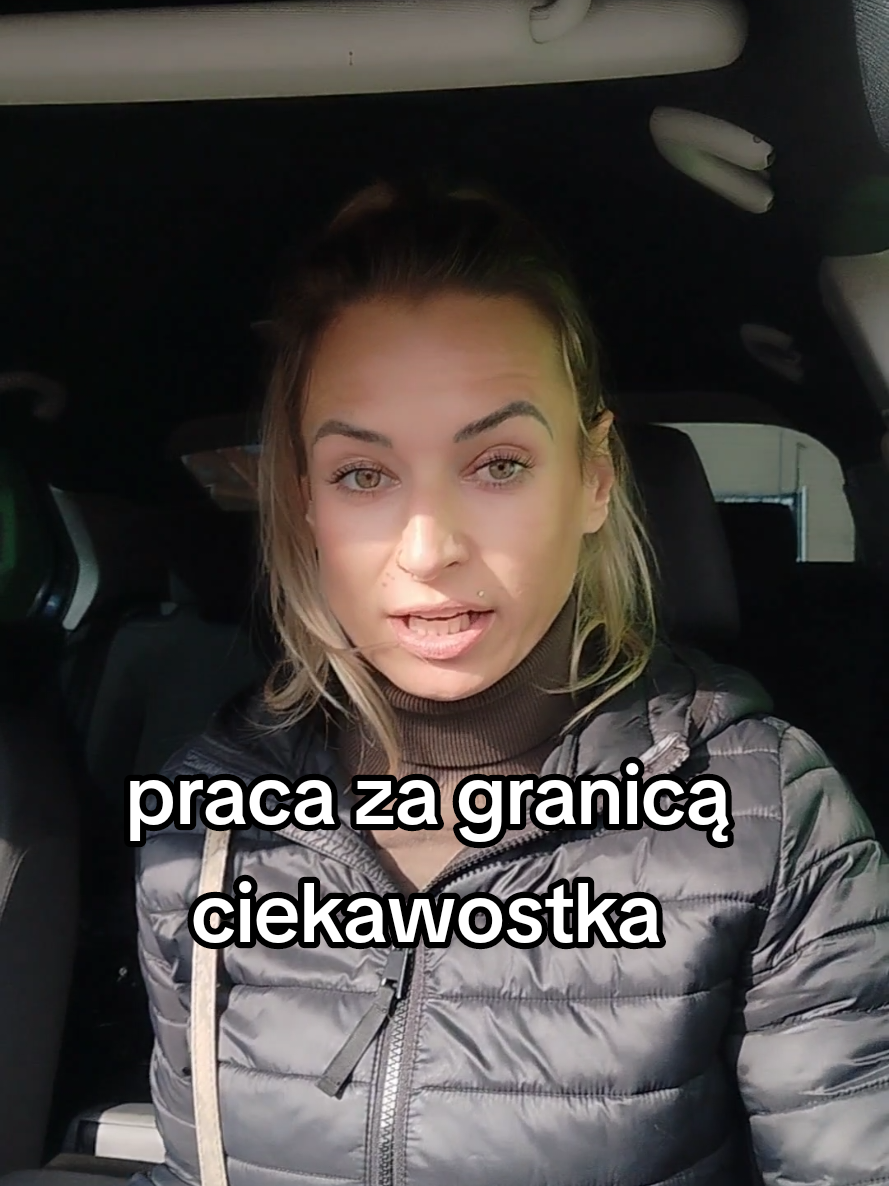@wiksiii_fit_bus
