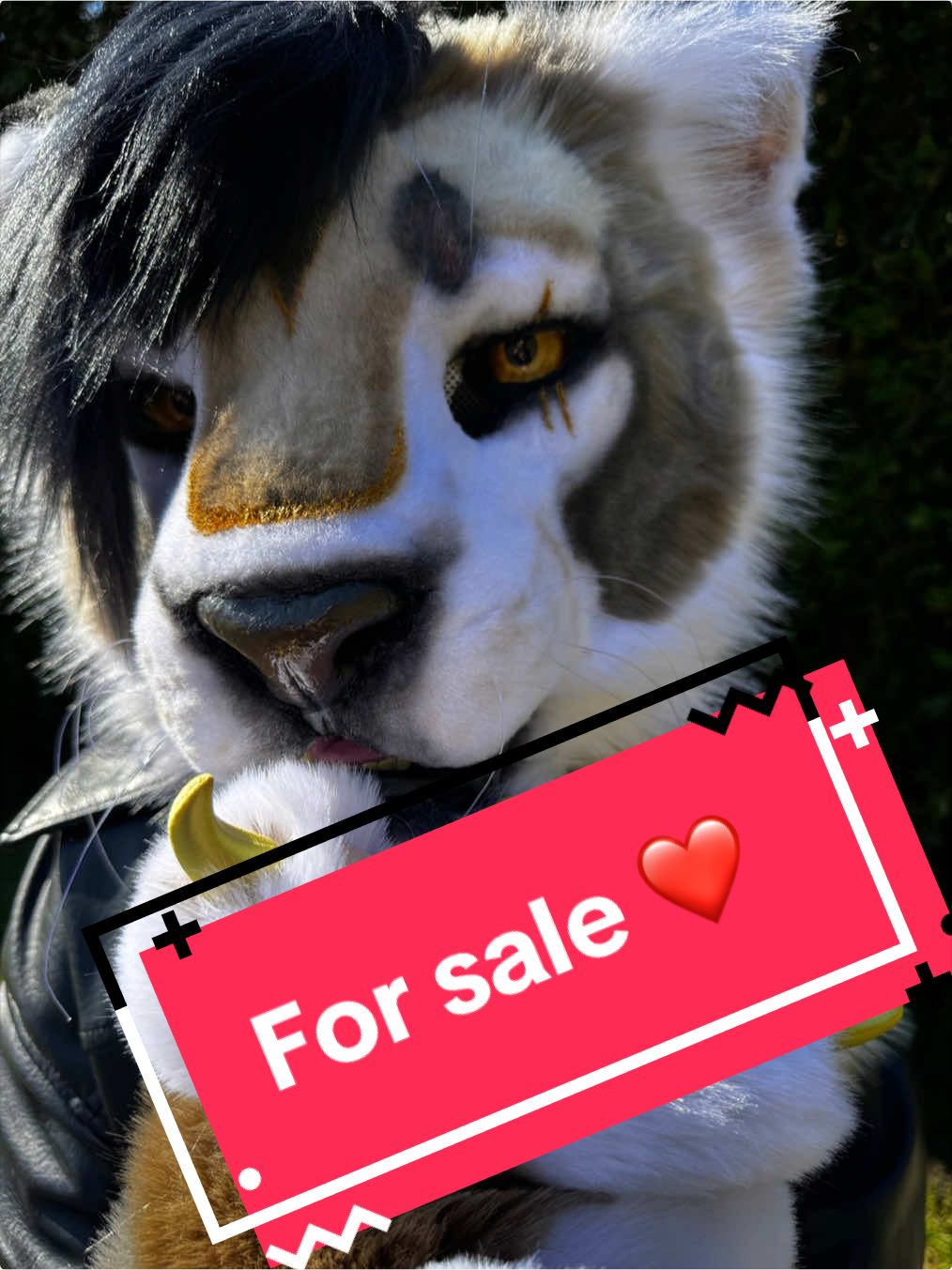 @CoverWithFur