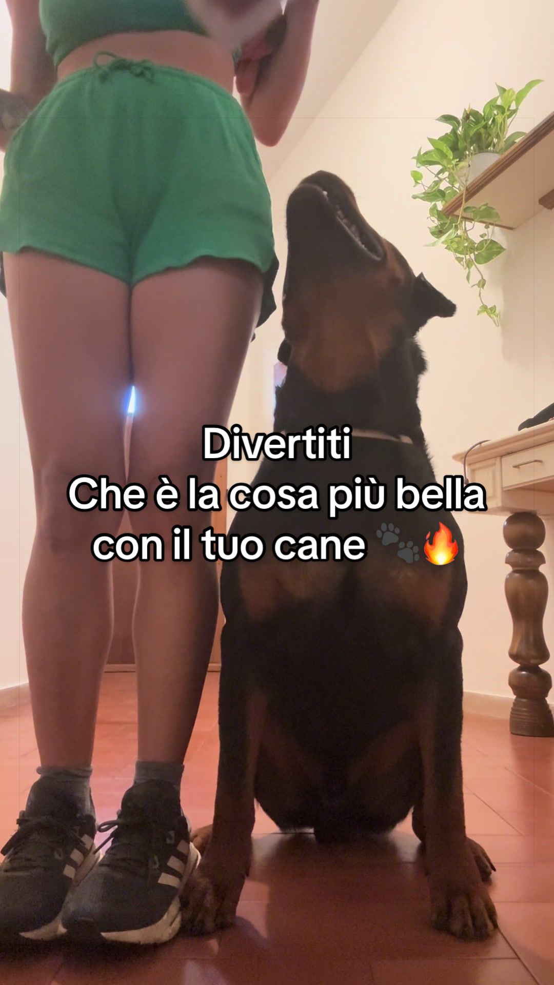 @Le avventure di Thor 🌪️ w ❤️