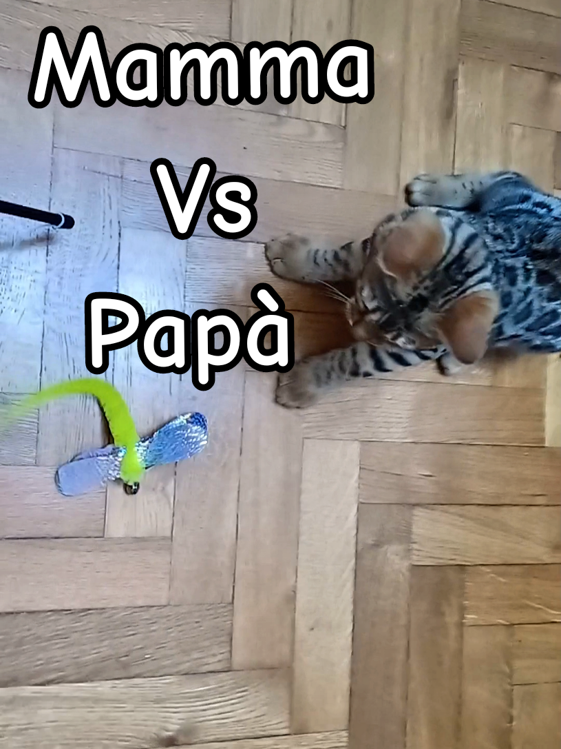 @Rio.supercat