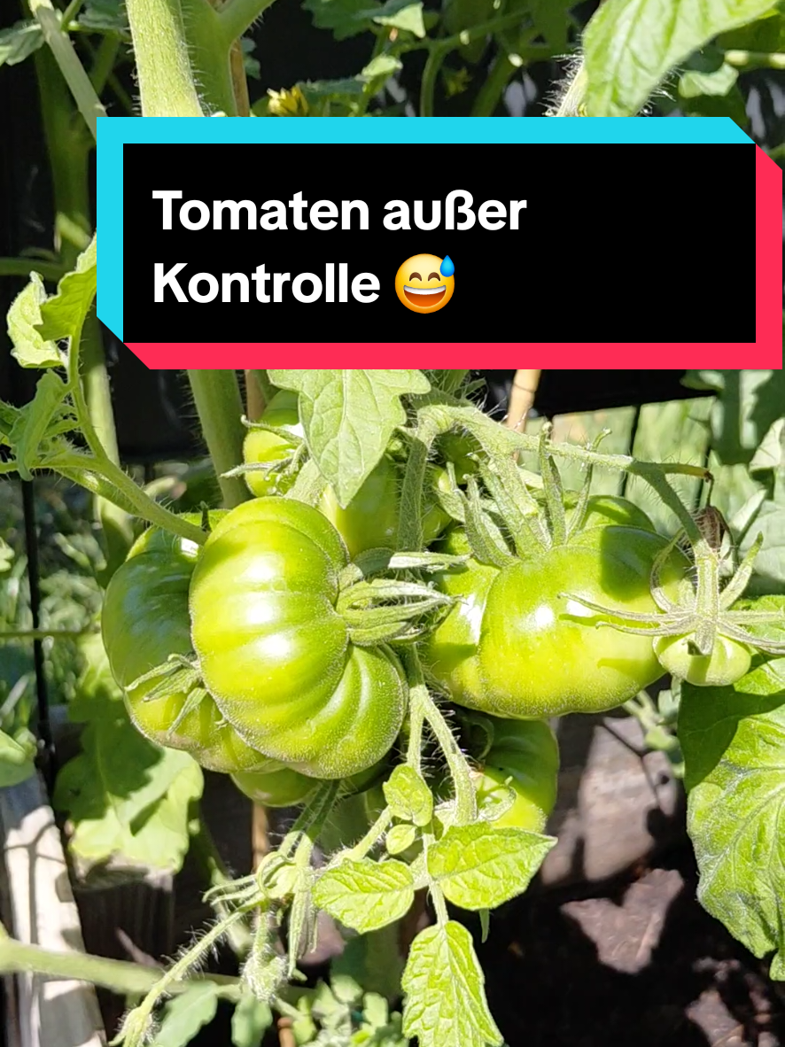 @Gartenchaos