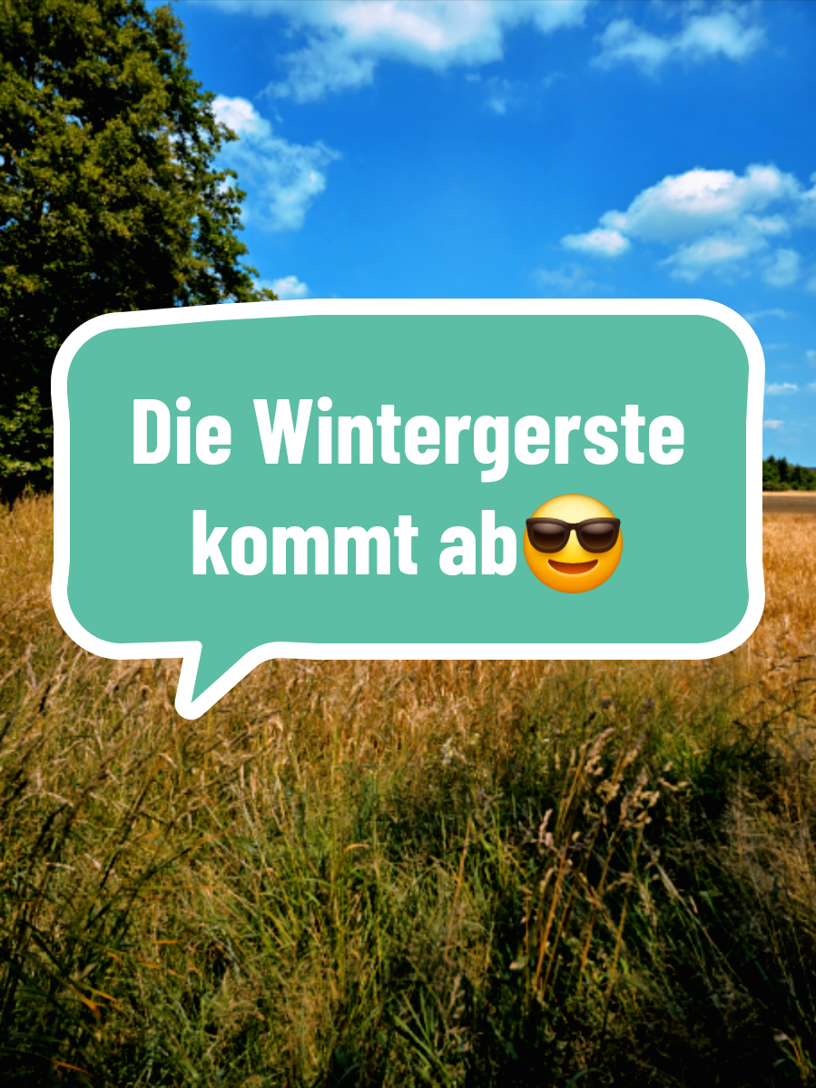 @Kuhflüsterin_aus_Leidenschaft