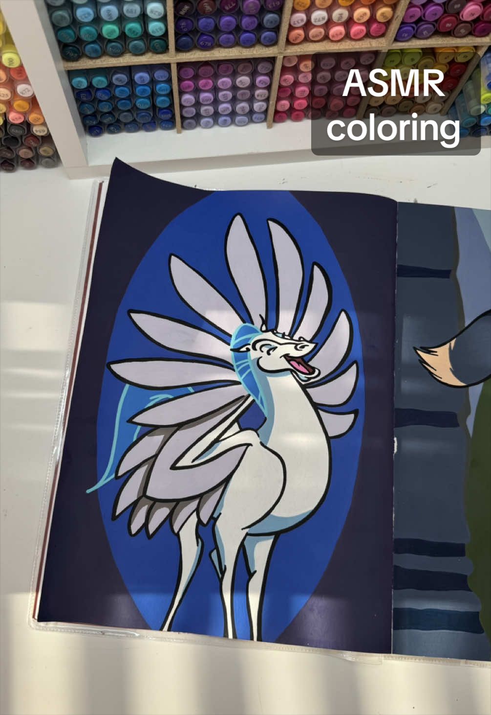 @color.the.magic