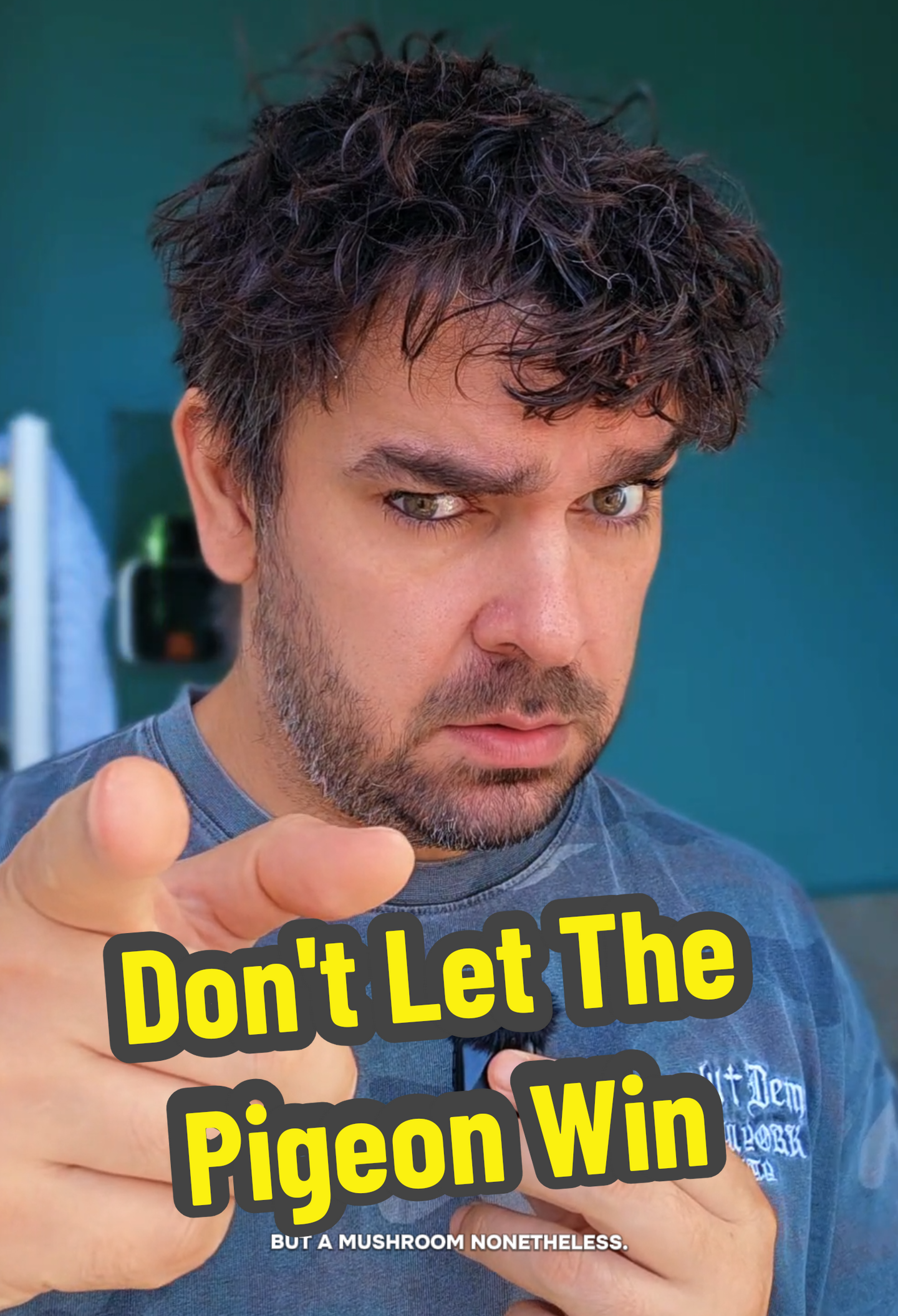 @Joey