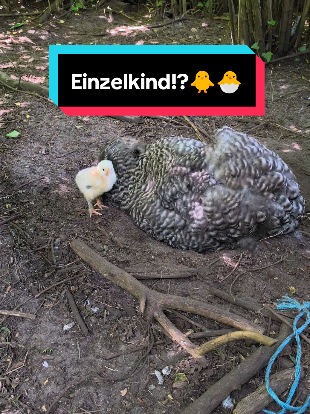 @DieSelbstvOrsorger
