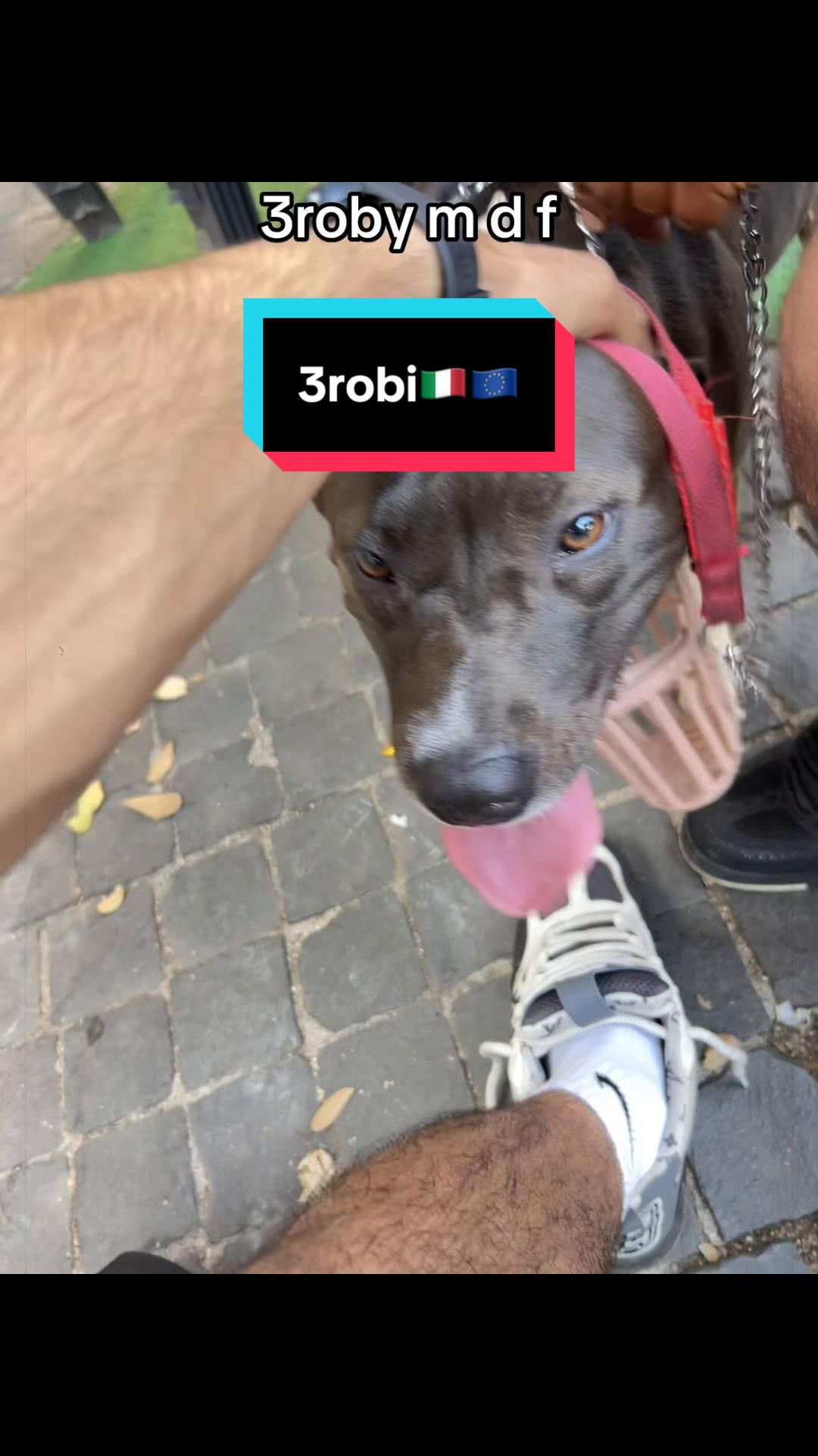 @Zizou🥷
