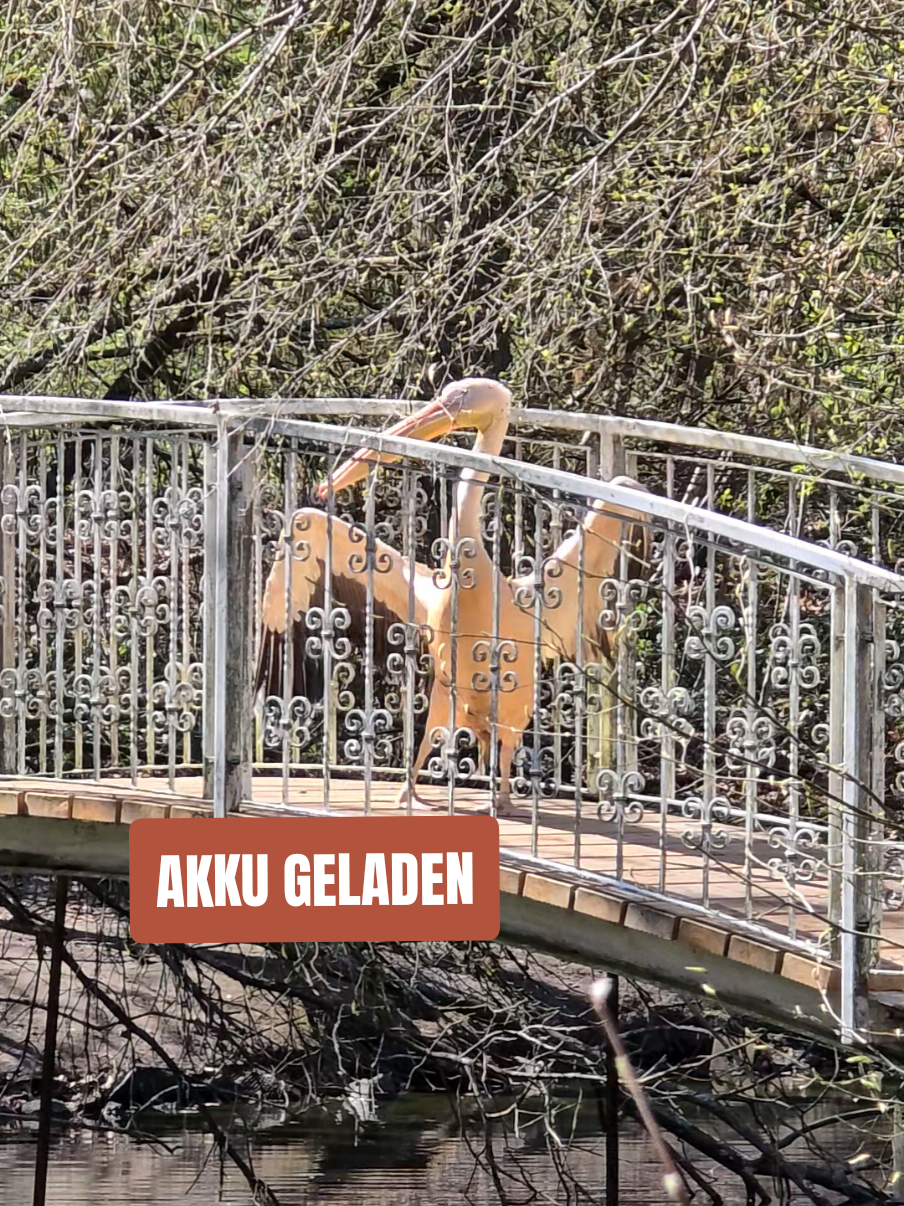 @WildparkLH