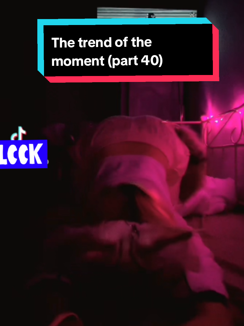 @Thirstrap.acc