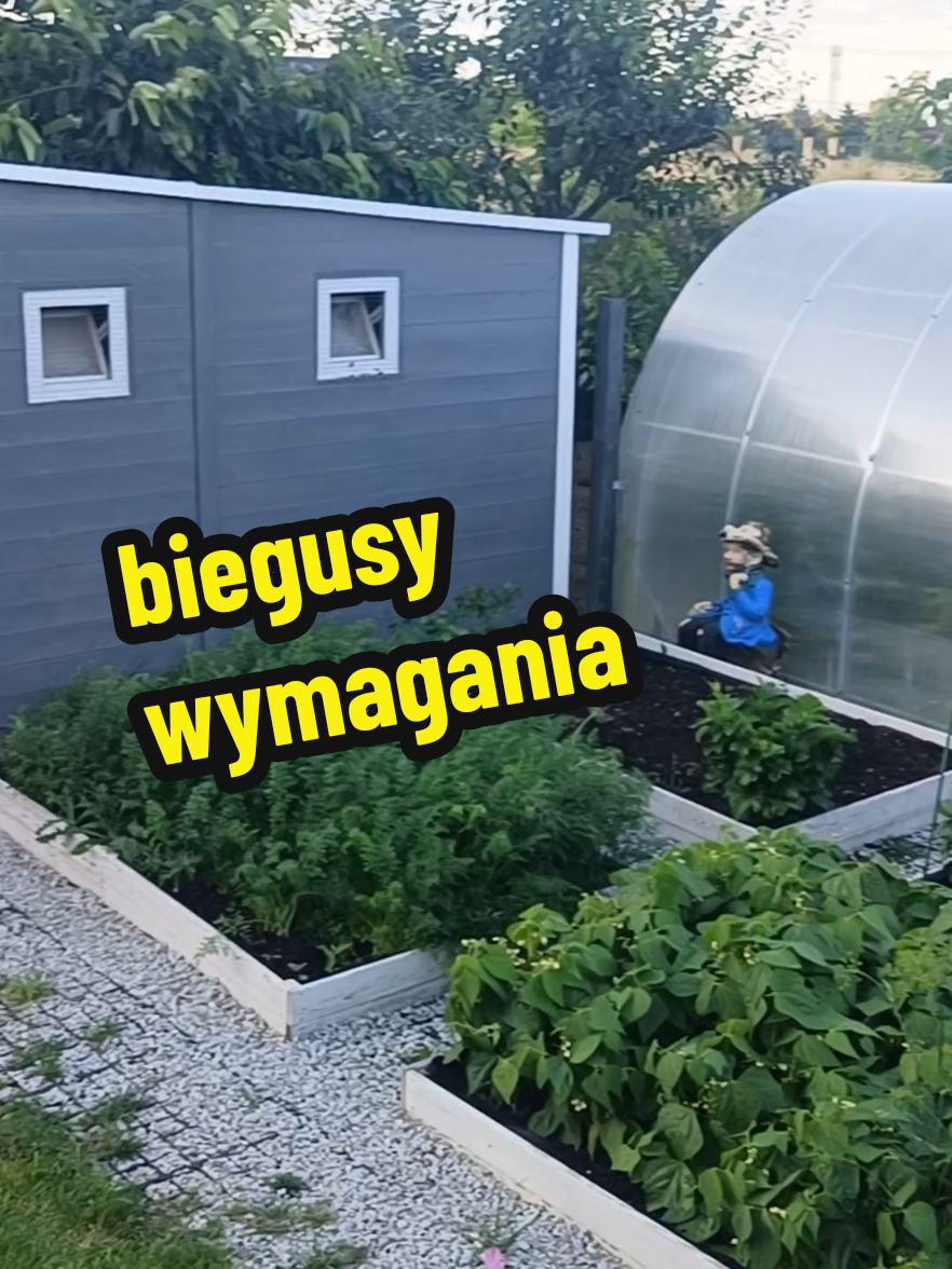 @Marcin ogrodnik