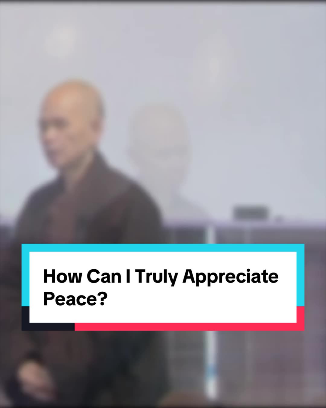 @Plum Village App