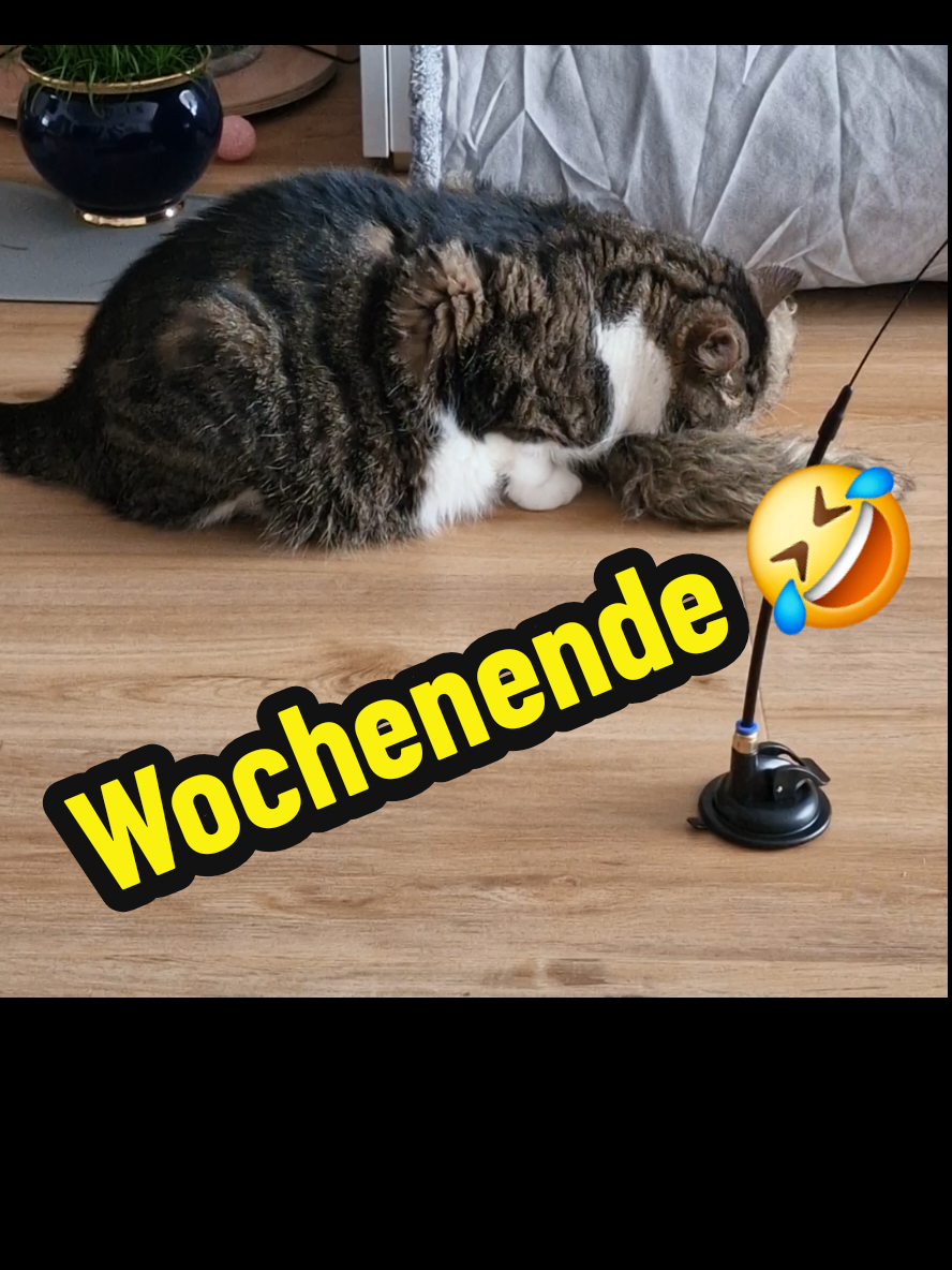 @gp