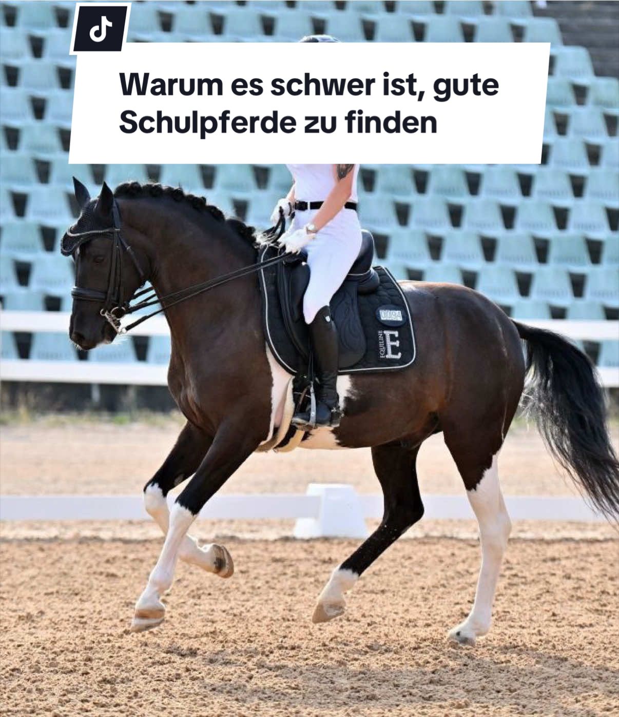 @Sophia • SL Reitschule
