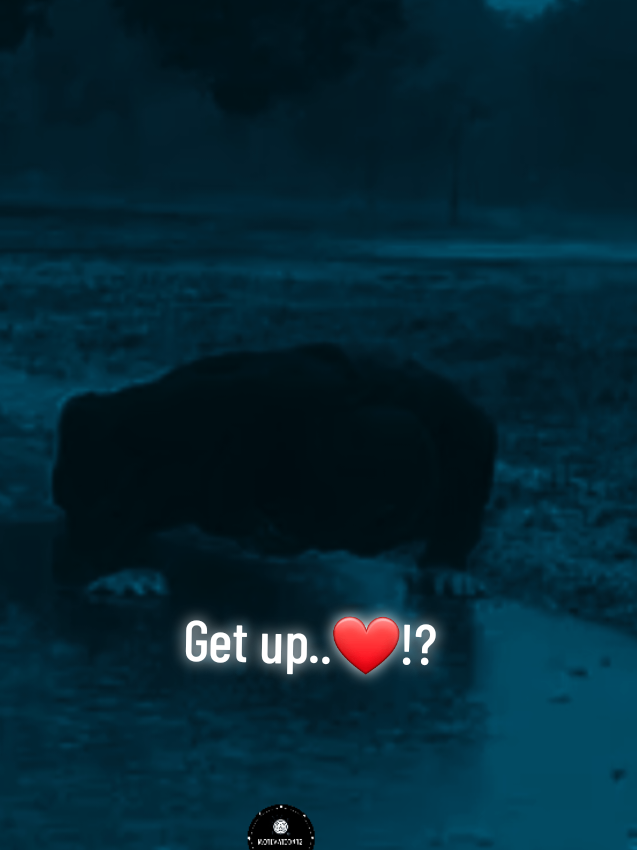 @motivation12