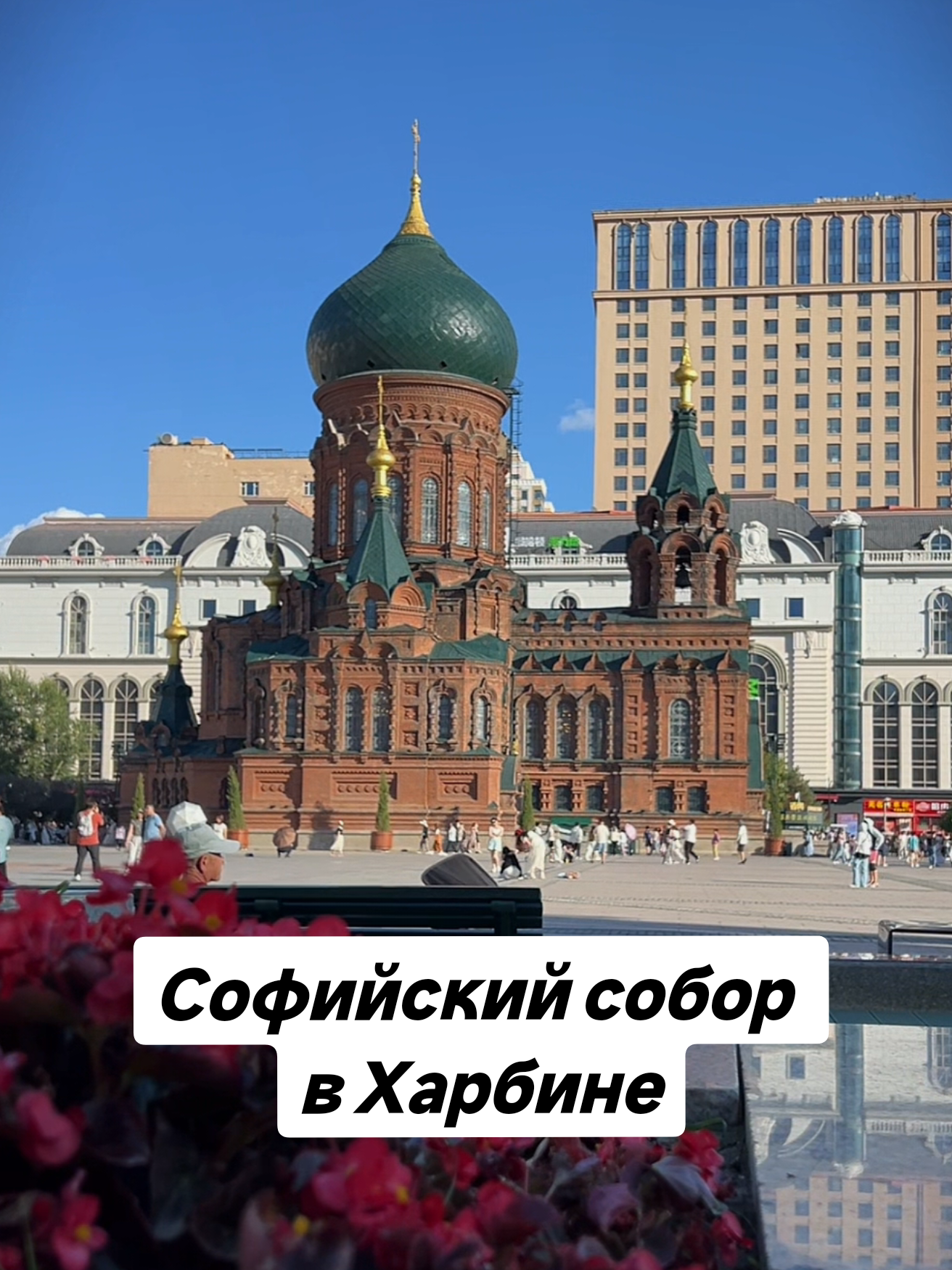 @Елена Шкода