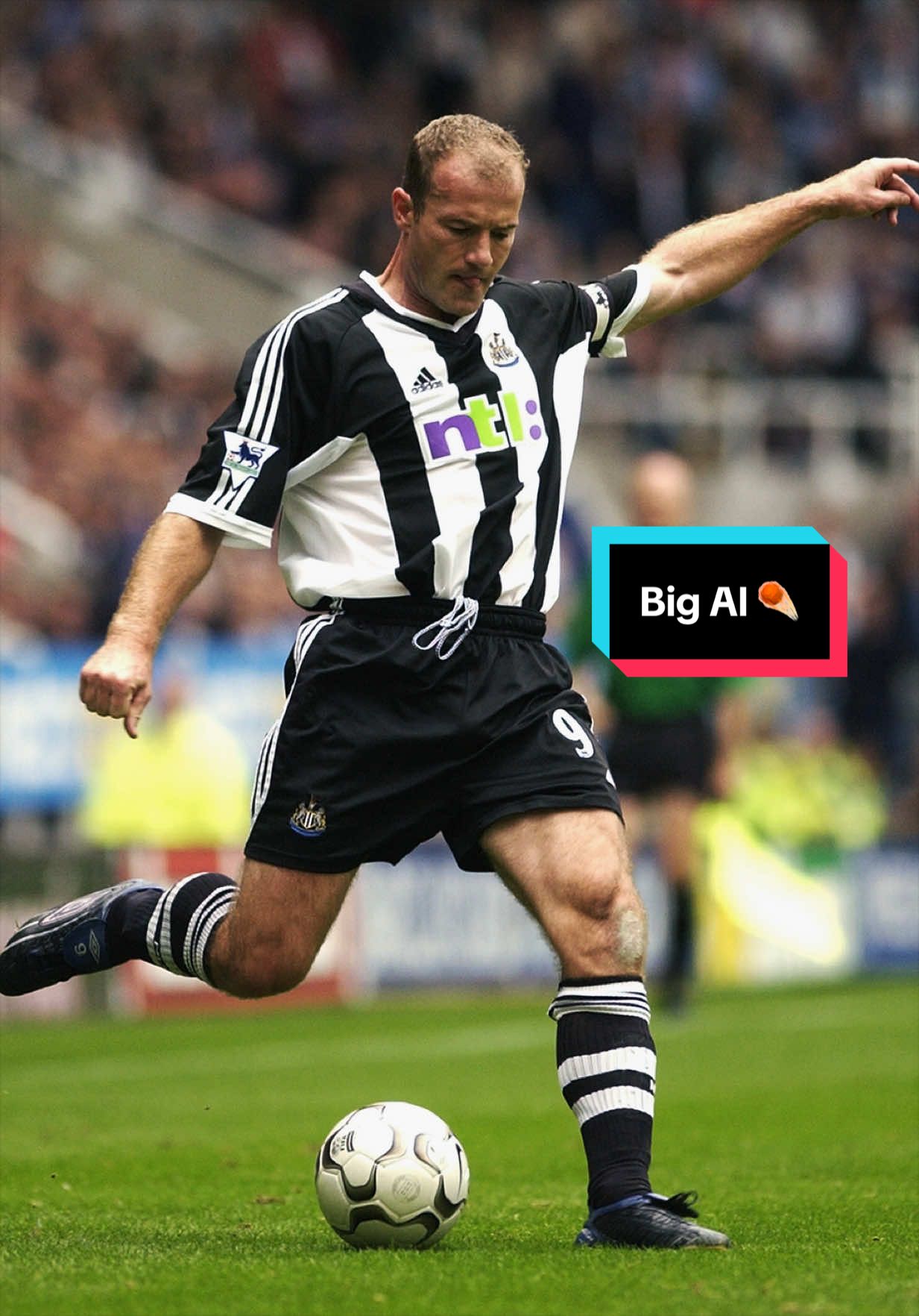 @Newcastle United