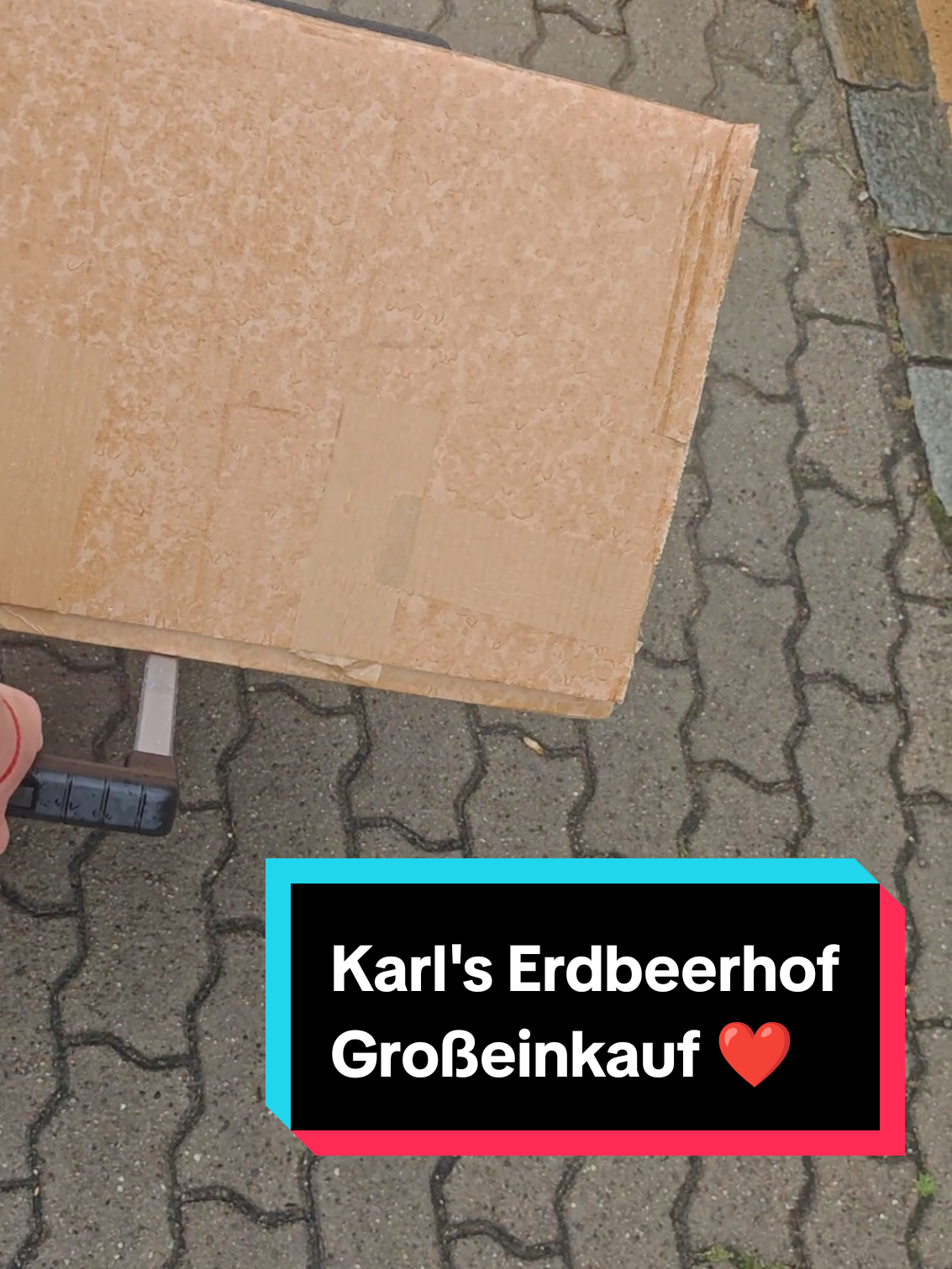 @🌸 Bergtag 📚+🎮 🌸
