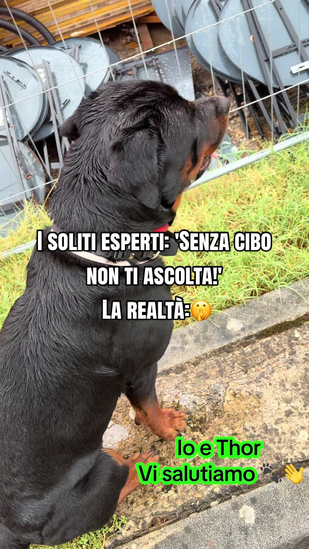 @Le avventure di Thor 🌪️ w ❤️