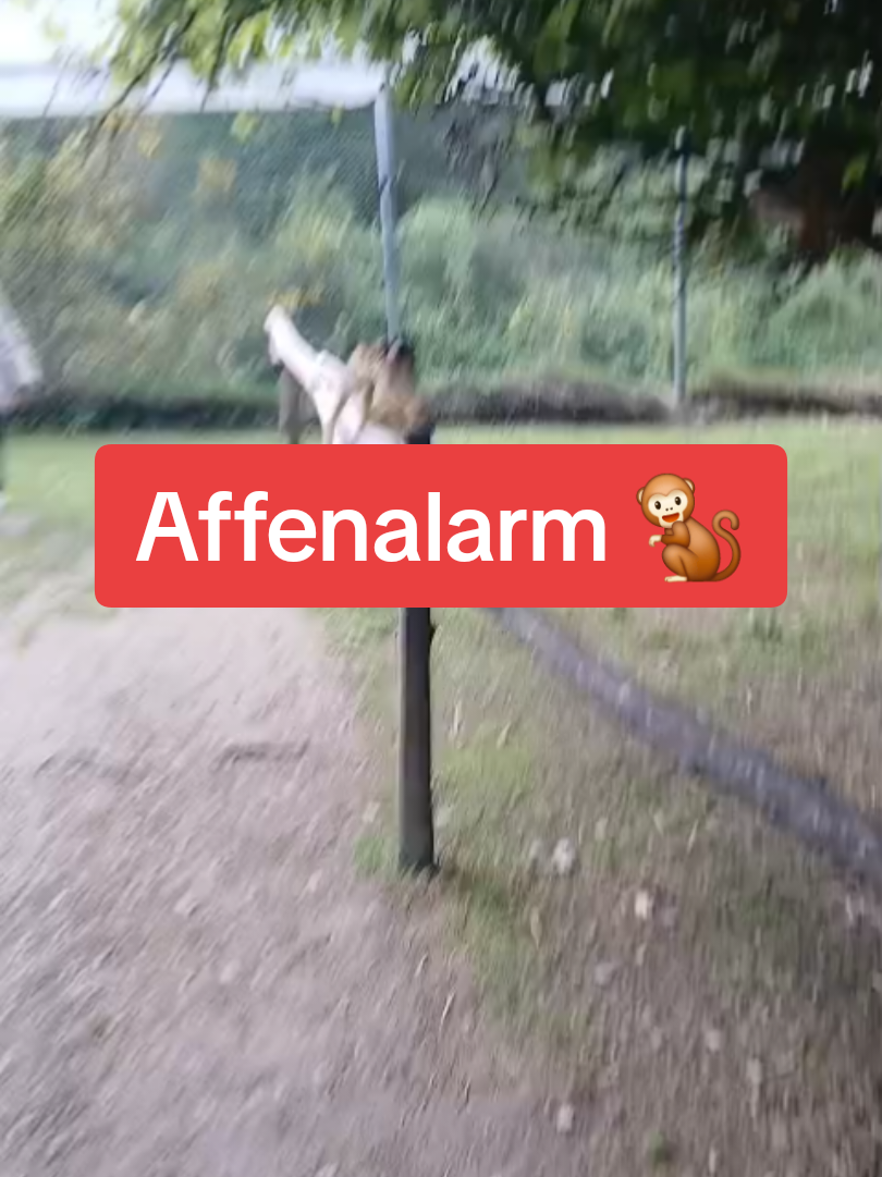 @🔨🔩🏞Fritzelfred125🤯