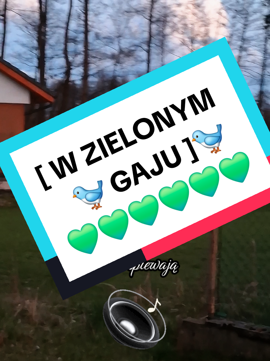 @Lucy