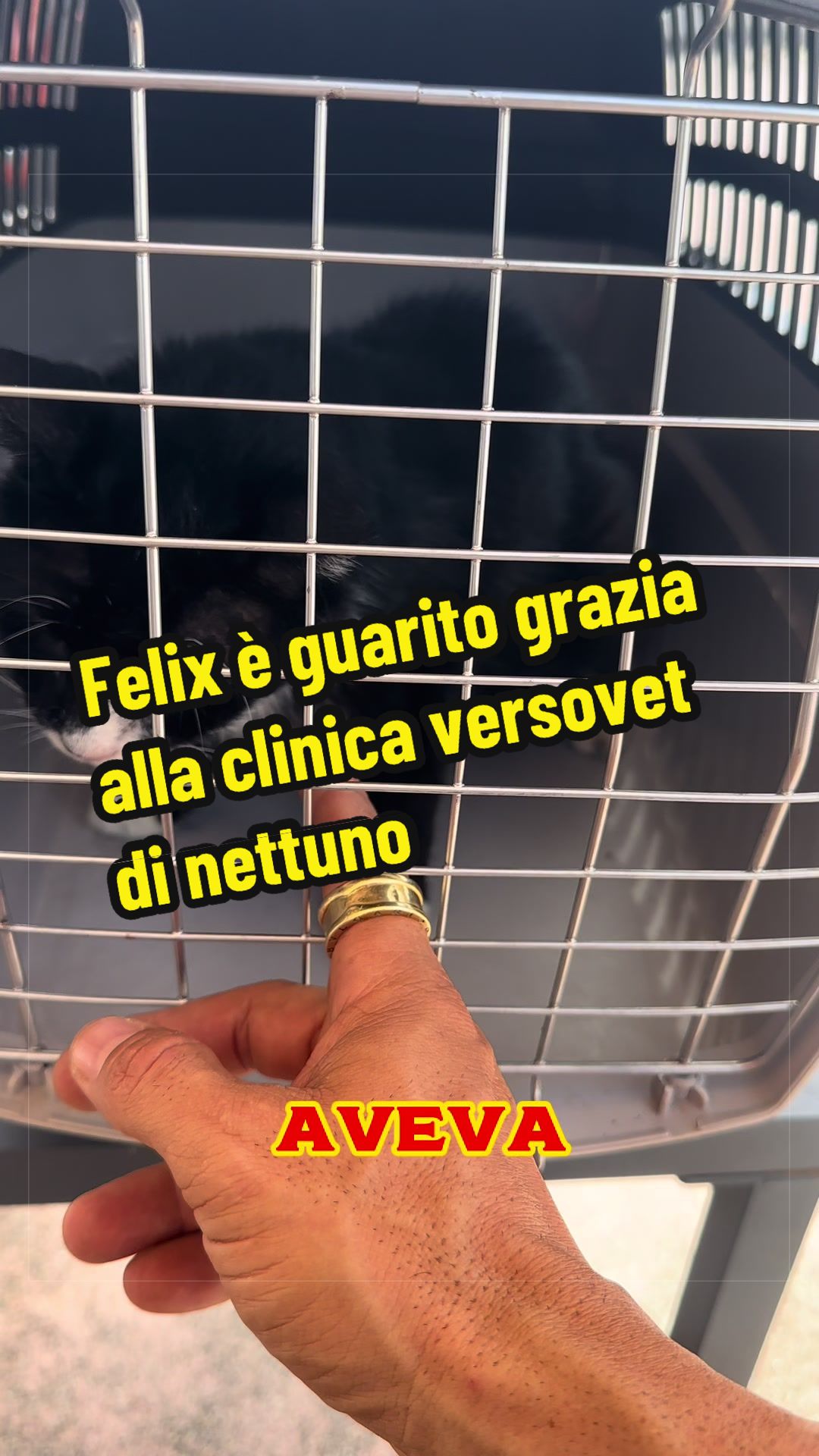 @AGO-AGOZZINO ALFREDO OFFICIAL