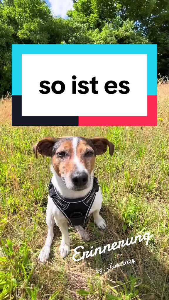 @Rocky und ich