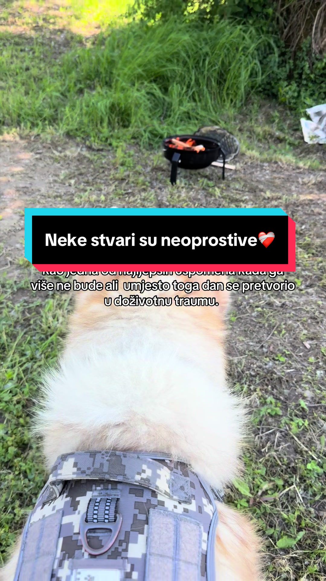 @MojiPsi (Fei the Husky)