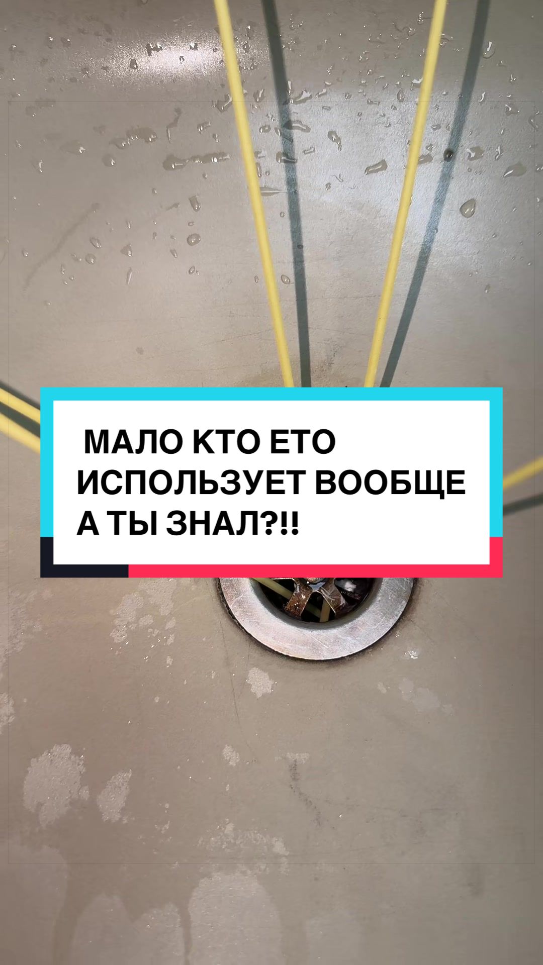 @laifhak_mozgi