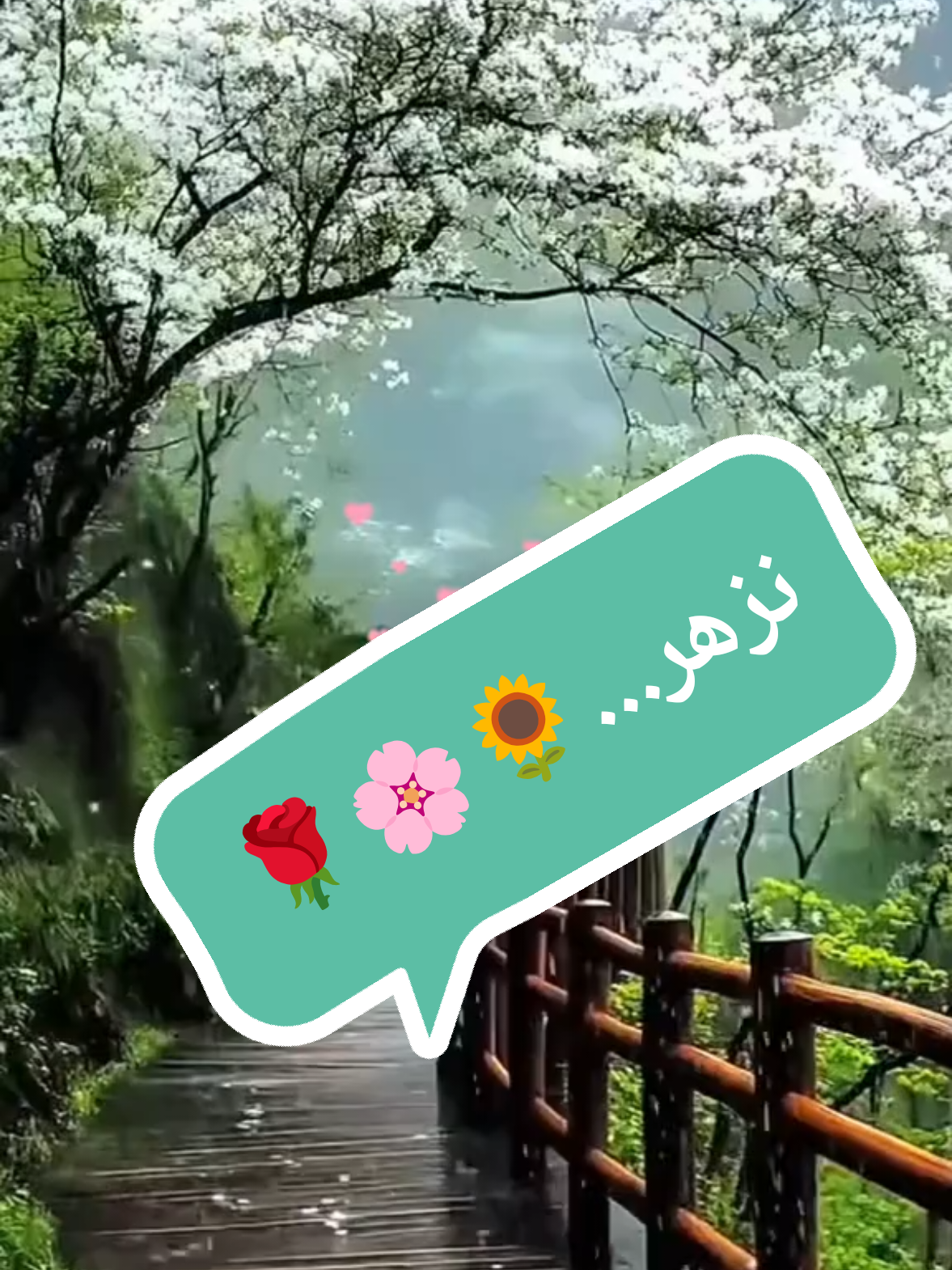 @صدى الصمت 🌸