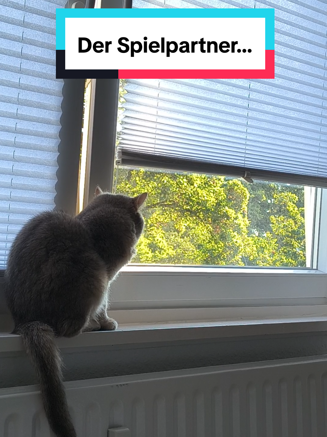 @Nala
