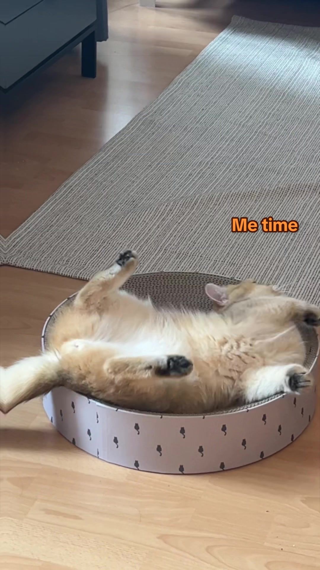 @MylittleChipsss