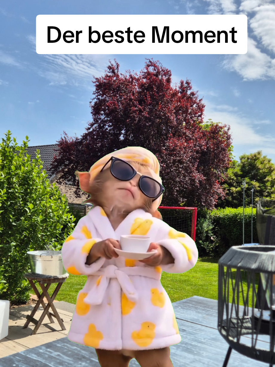 @KleineWeltGroßeFragen👶💞