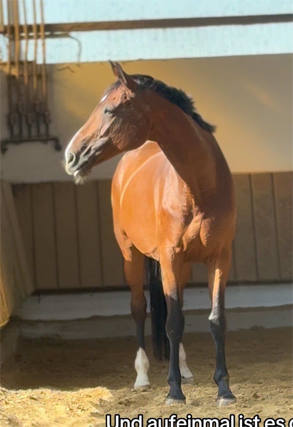 @𝓛𝓾𝓷𝓪