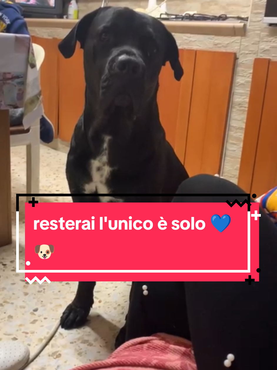 @Maria Convertino