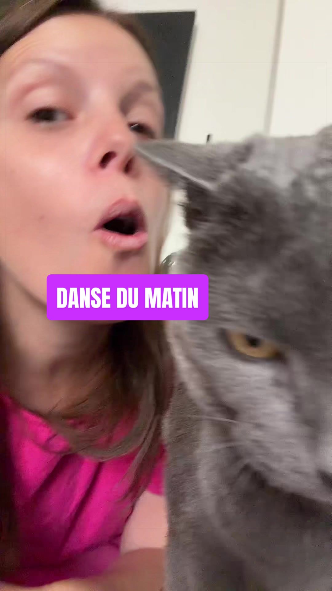 @lamamandegris 🕺