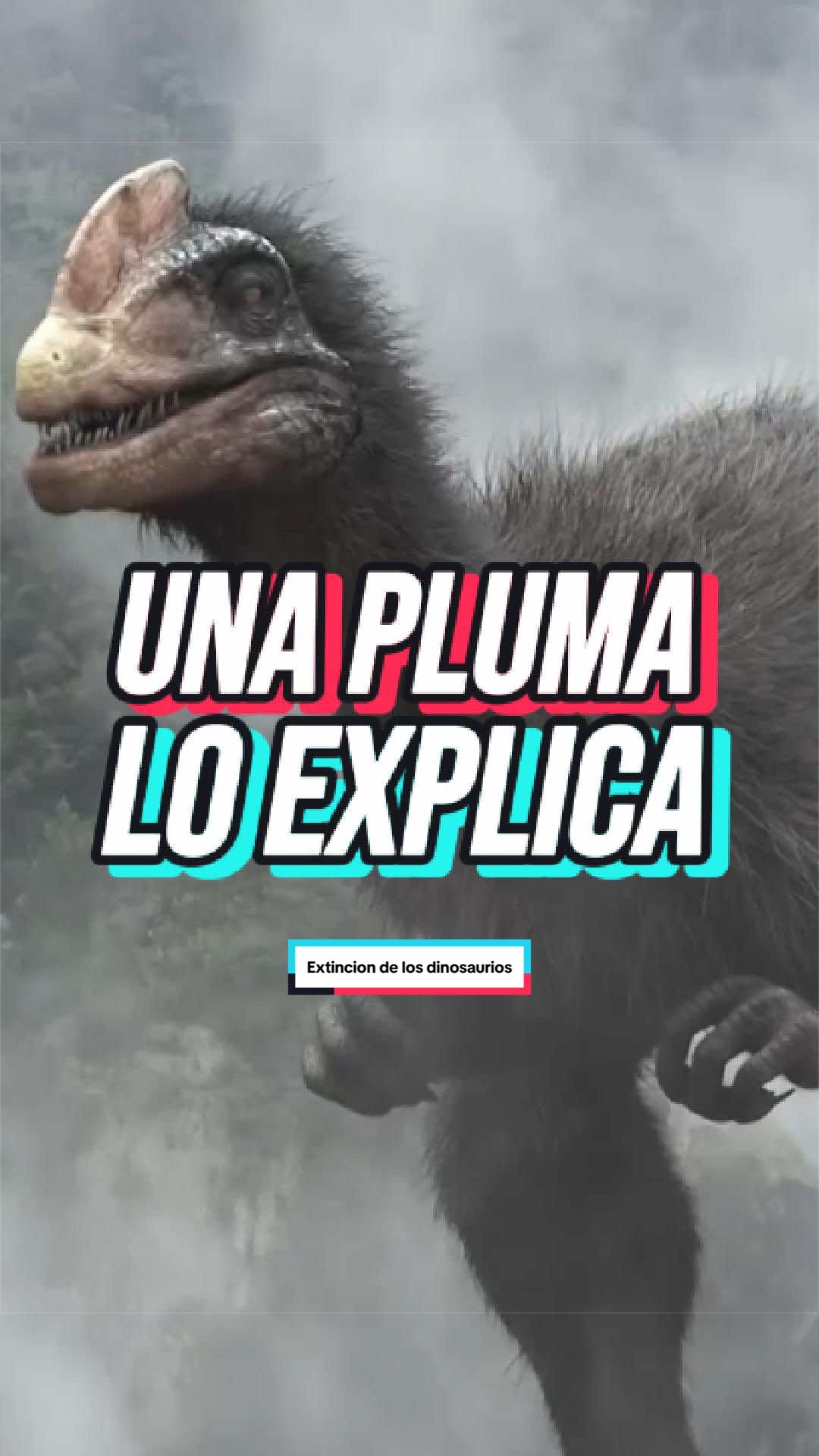 @AXT