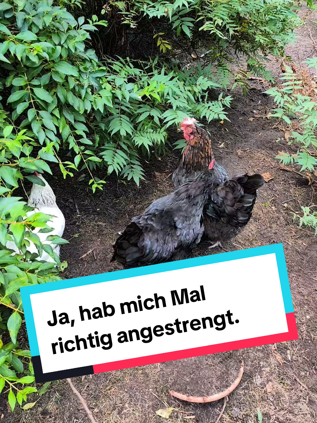 @DieSelbstvOrsorger