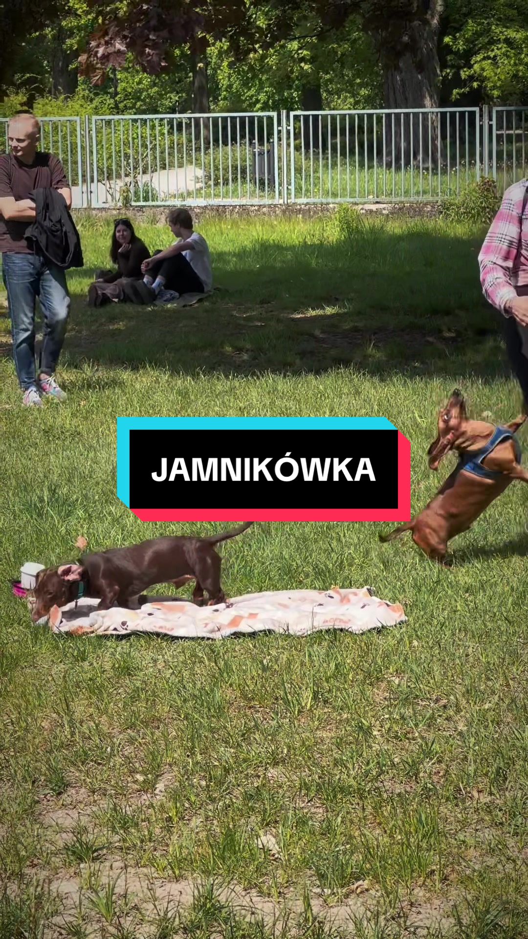 @Ł&oacute;dź 🦄