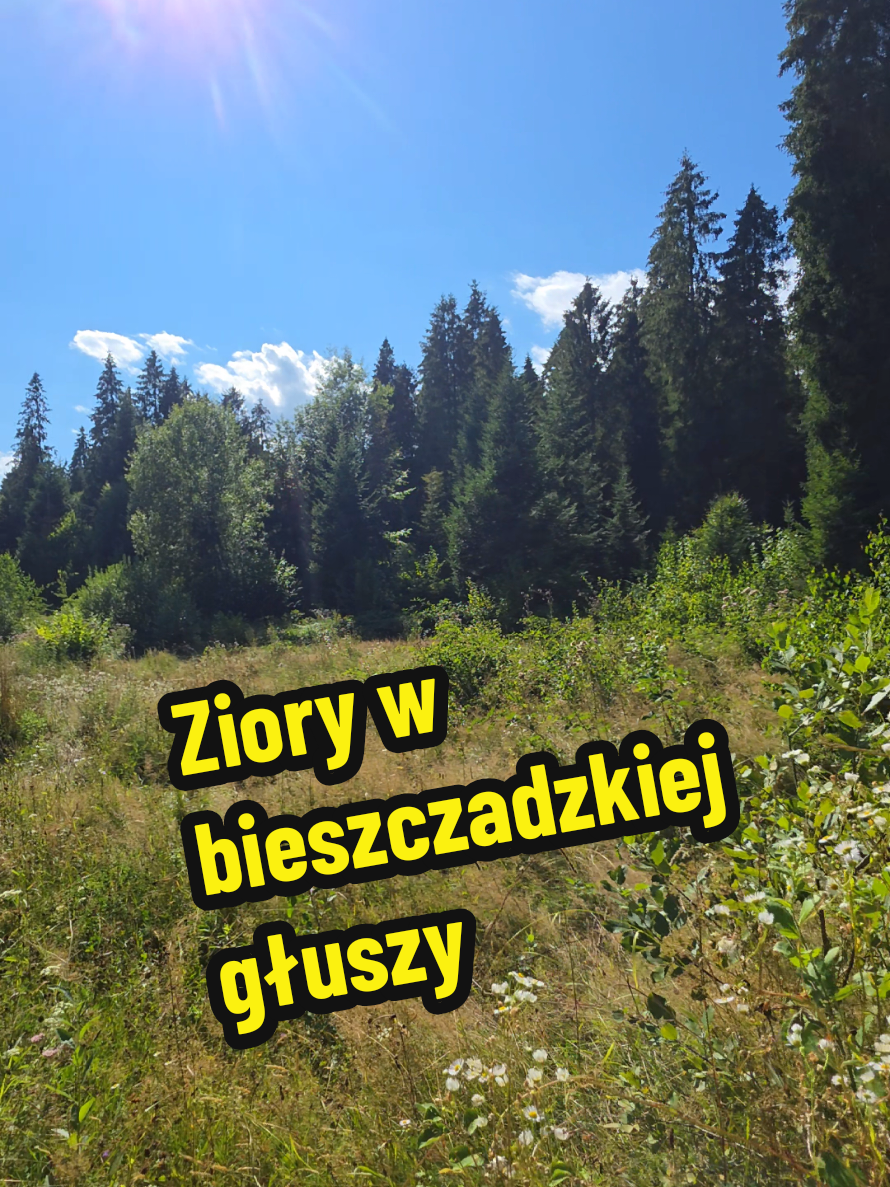 @Ania z Bieszczadzkiej Hecy🧀