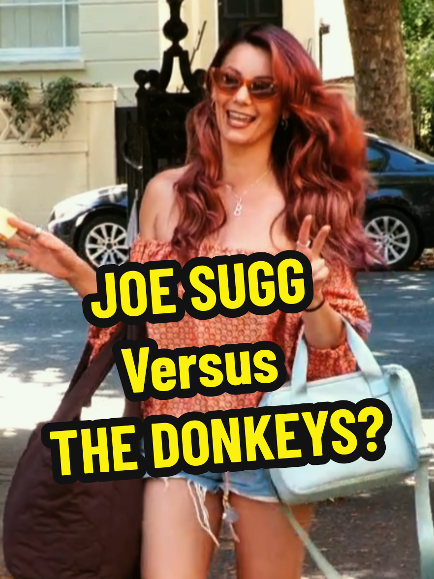 @THELAUGHINGDONKEYSUK