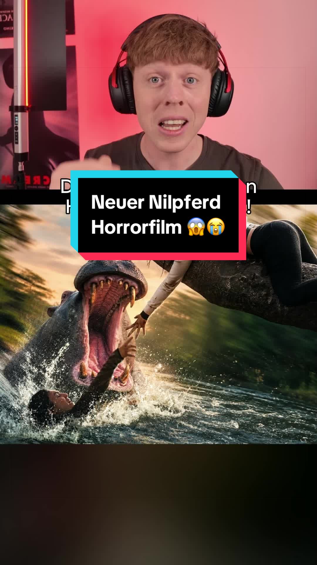 @nikflixplus | Niklas