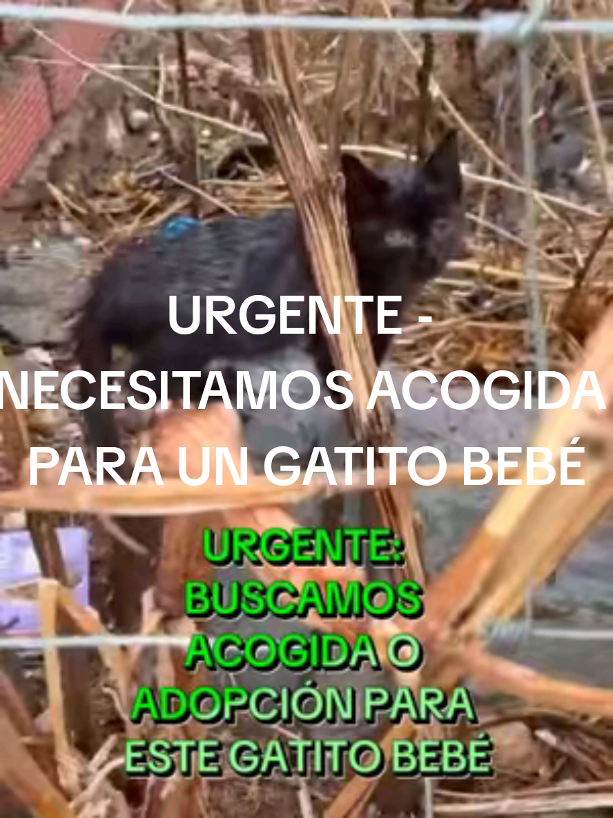 @garritasespaciales