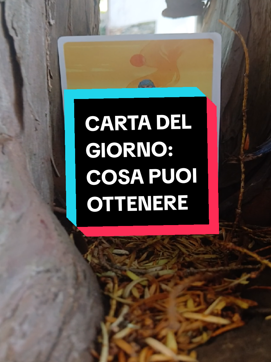 @Alicia Operatrice Olistica