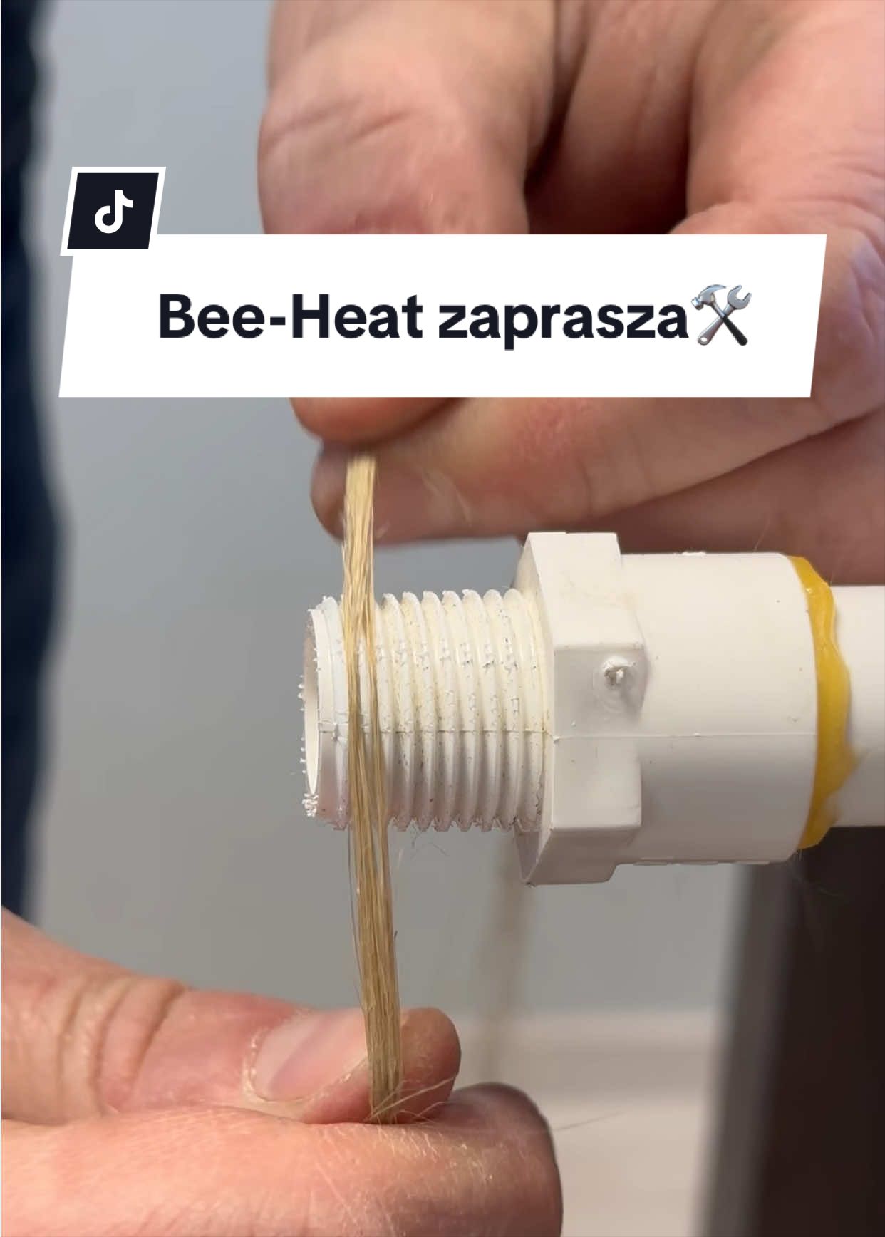 @Bee Heat