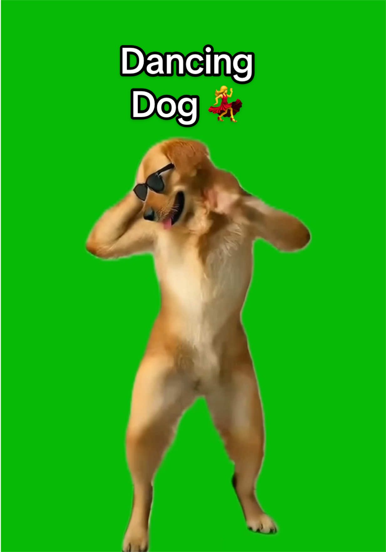 @Viral Green Screen Hub