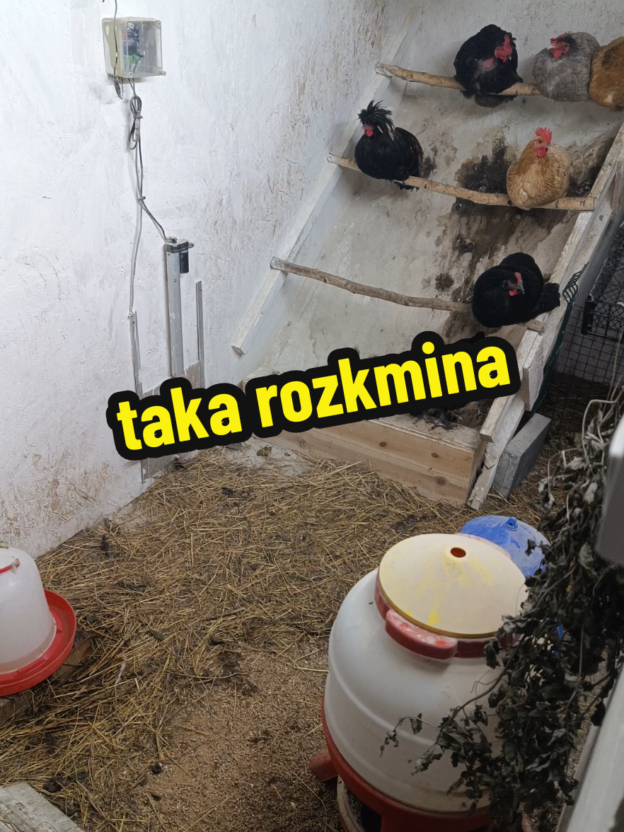 @Marcin ogrodnik