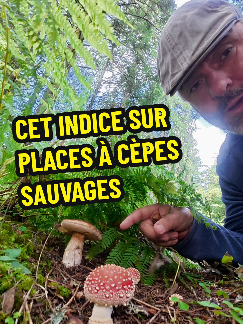 @Dan 🍄🟫 Le Champologue